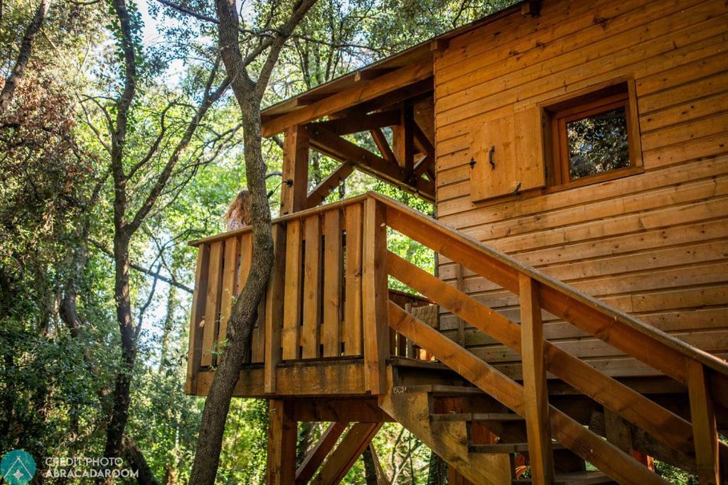 Cabanids Lodge *